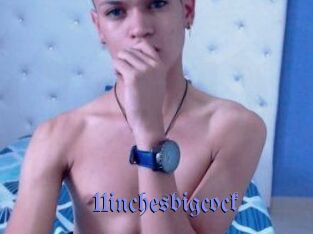 11inchesbigcock