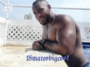 18mateobigcook Gay Buzz