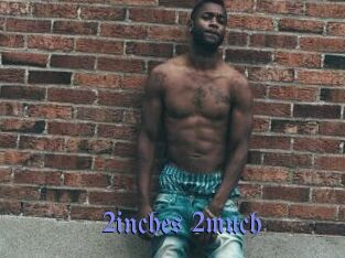 2inches_2much