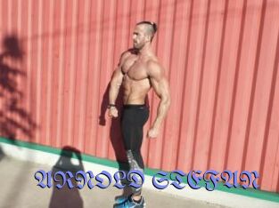 ARNOLD_STEFAN