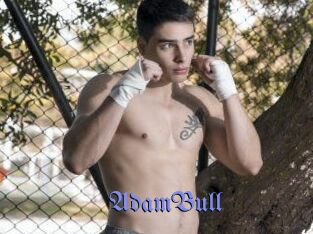 AdamBull