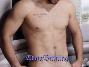 AdamBurning