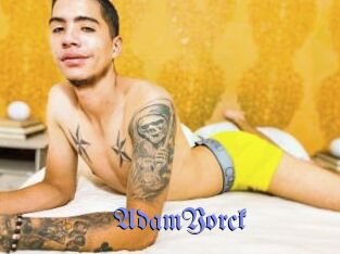 AdamYorck Gay Buzz