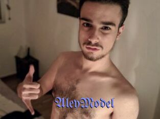 AleyModel