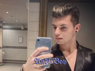 AndiiBoy Gay Buzz