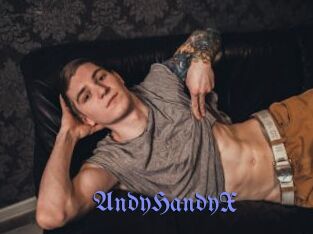 AndyHandyX