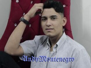 AndyMontenegro