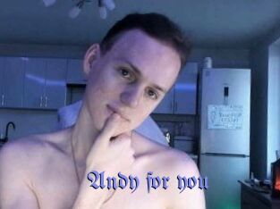 Andy_for_you