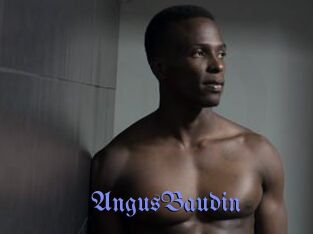AngusBaudin
