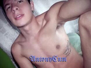 AntonyCum