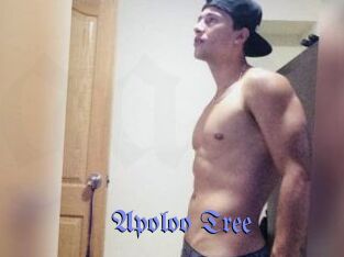 Apoloo_Tree Gay Buzz