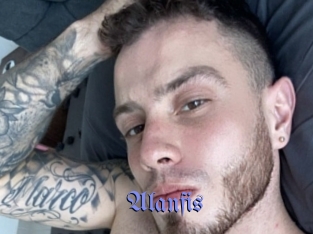 Alanfis