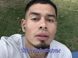 alexandewayne Gay Buzz