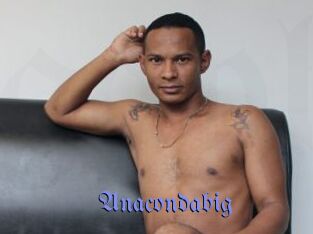 Anacondabig