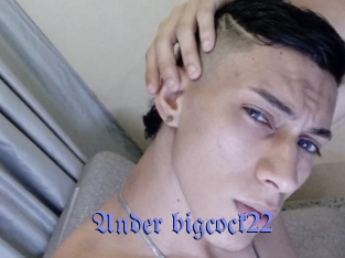 Ander_bigcock22