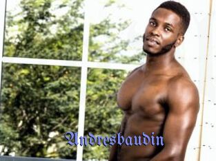 Andresbaudin