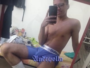 Andypolla
