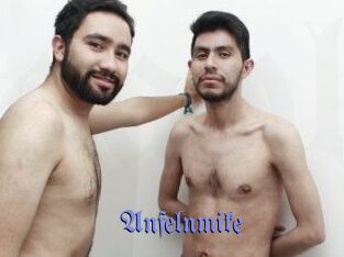 Anfelnmike