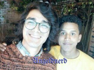 Angeldnerd