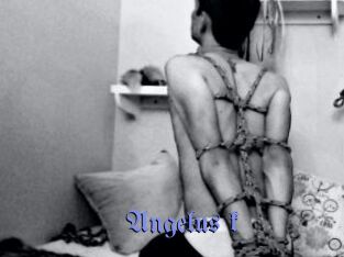 Angelus_k
