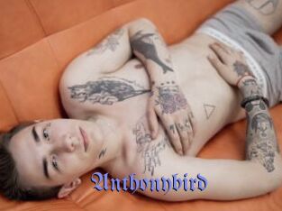 Anthonybird