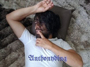 anthonyding Gay Buzz
