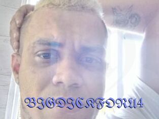 BIGDICKFORU4