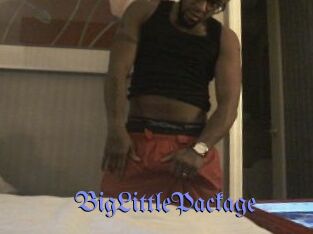 BigLittlePackage