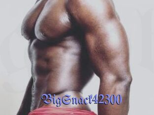 BigSnack42300