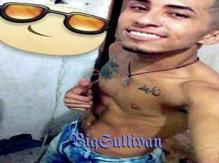 BigSullivan Gay Buzz