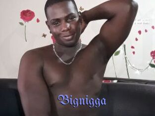 Bignigga