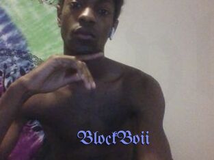 BlockBoii