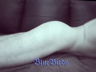 BlueBirdy