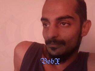 BobX