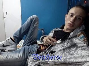 BoyHorse