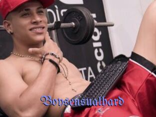 Boysensualhard