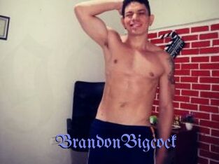BrandonBigcock