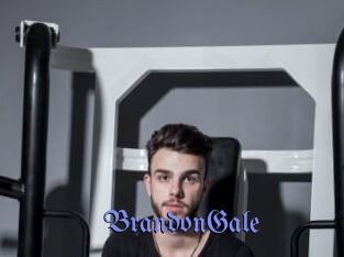 BrandonGale Gay Buzz
