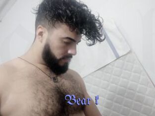 Bear_k