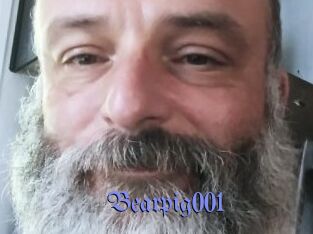 Bearpig001