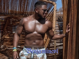 benjamincol Gay Buzz