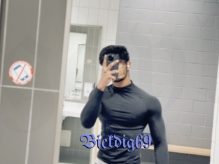 Bickdig69