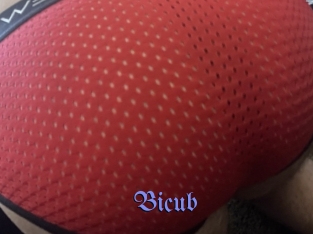 Bicub