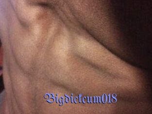 Bigdickcum018