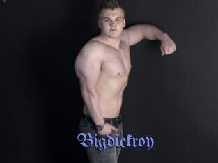 Bigdickroy