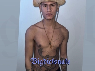 Bigdicksnake