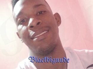 Blackbignude