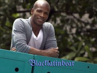 Blacklatinbear