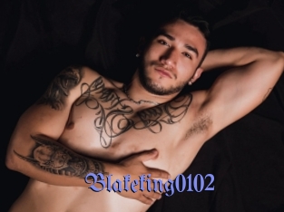 Blakeking0102