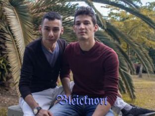 Bleicknort